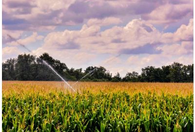 Druppelbevloeing voor land- en tuinbouw