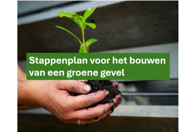 Stappenplan voor het bouwen van een groene gevel