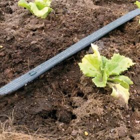 Agro druppeltape 16 mm, afstand 300 mm