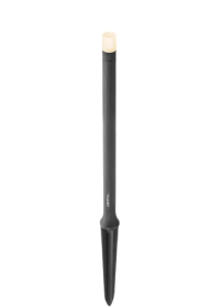 Erba medium