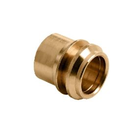 15 x 10 mm